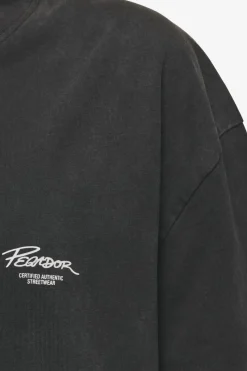 Pegador Tees|Banberry Oversized Tee Vintage black
