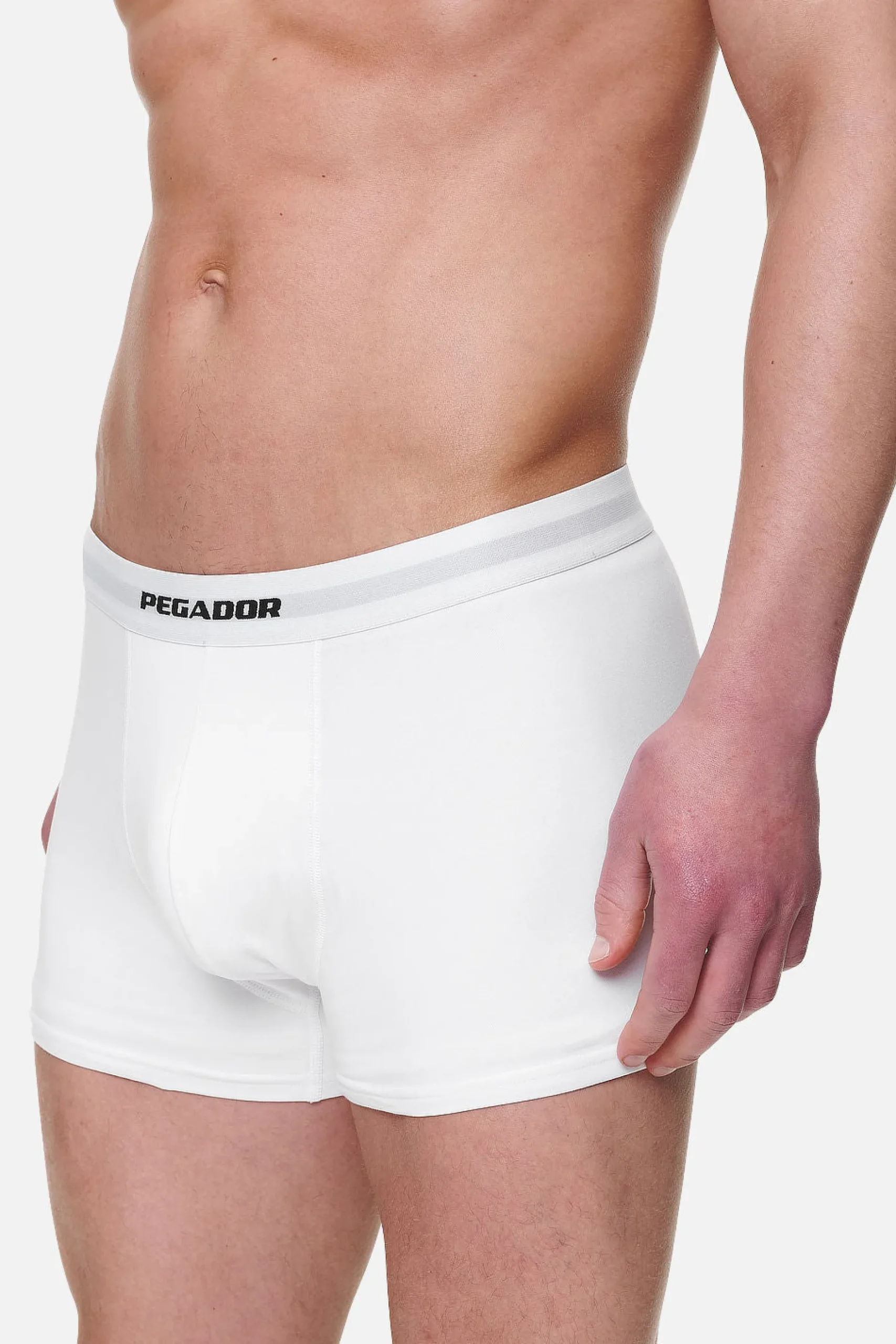 Pegador Underwear|Camino Boxershorts Single Logo 3 Pack White White