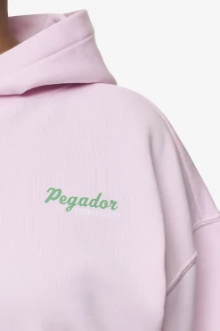 Pegador Hoodies|Chapi Oversized Hoodie Washed Bubblegum