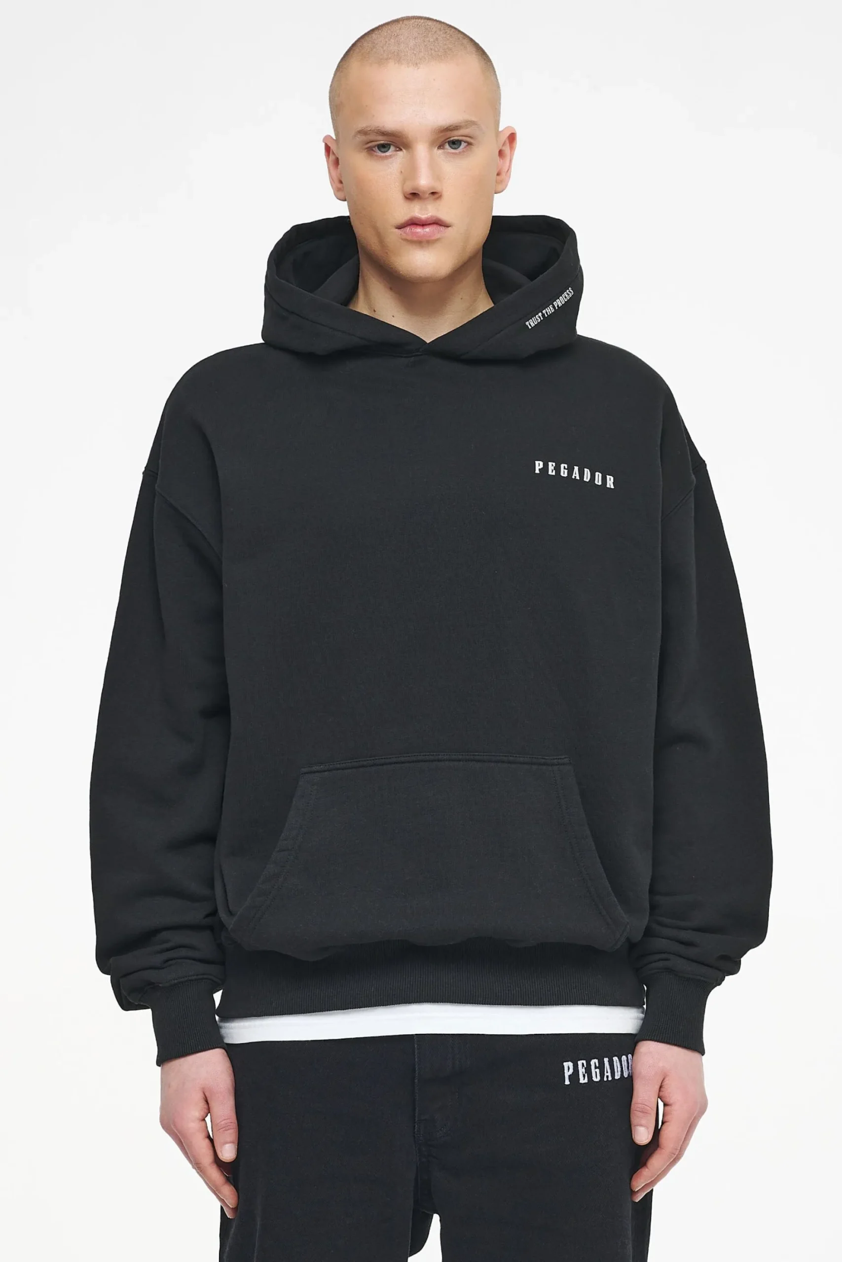 Pegador Hoodies|Dinmont Oversized Hoodie Vintage Washed Black Ink