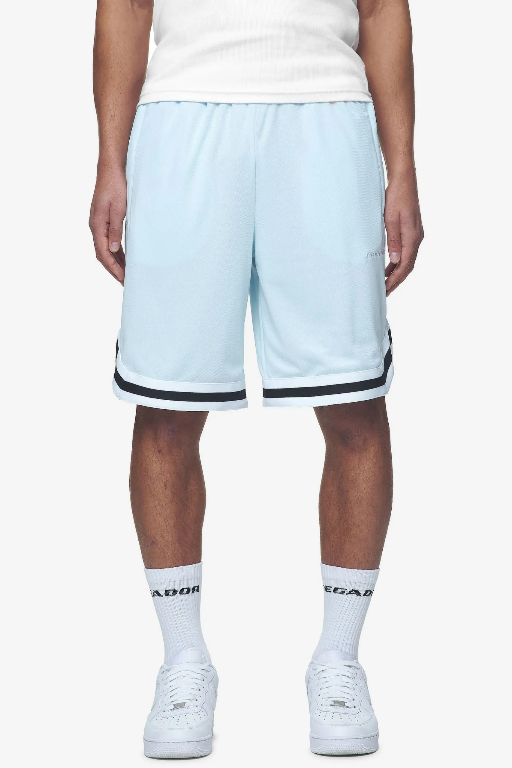 Pegador Shorts|Lansing Basketball Shorts Baby blue