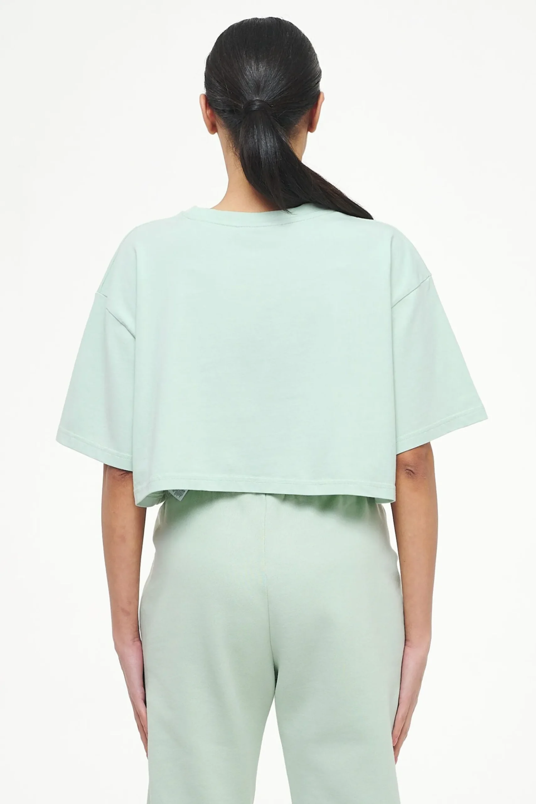 Pegador Tees|Layla Oversized Cropped Tee Vintage Washed Milky Green Gum