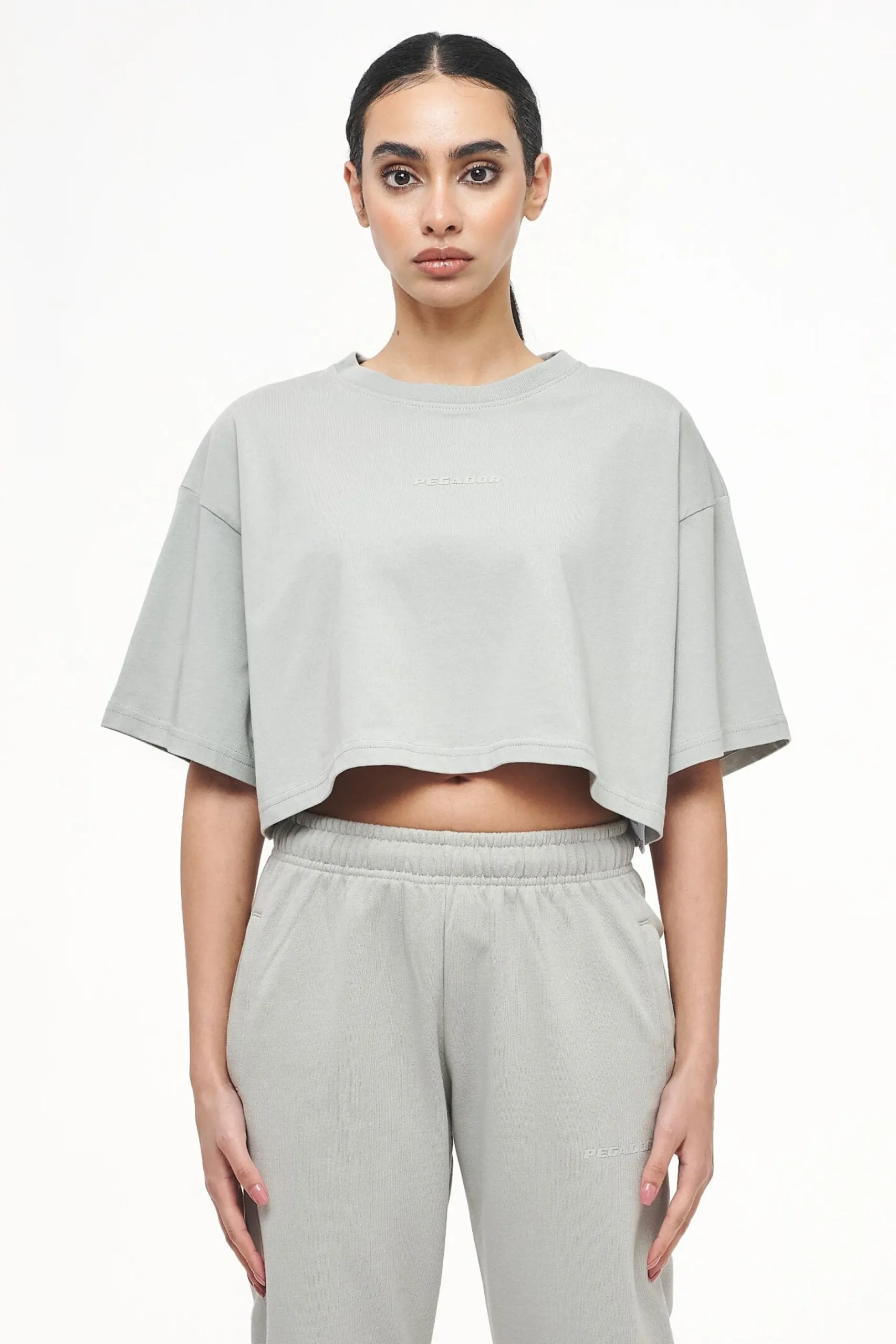 Pegador Tees|Layla Oversized Cropped Tee Vintage Washed Quiet Gray Gum