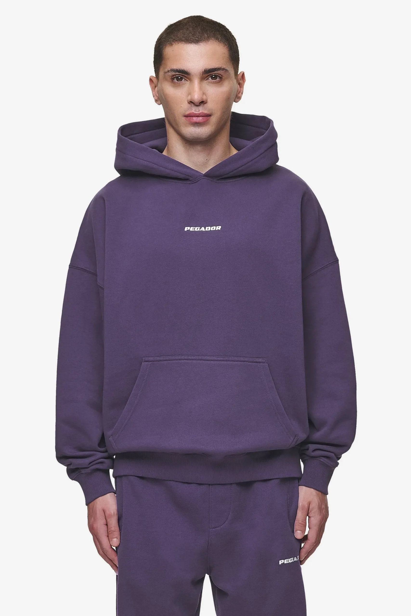 Pegador Hoodies|Logo Boxy Hoodie Washed Deep Purple