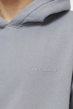 Pegador Hoodies|Logo Oversized Hoodie Gum Vintage washed dusk grey