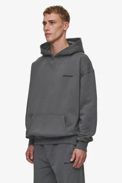 Pegador Hoodies|Logo Oversized Hoodie Washed Anthracite