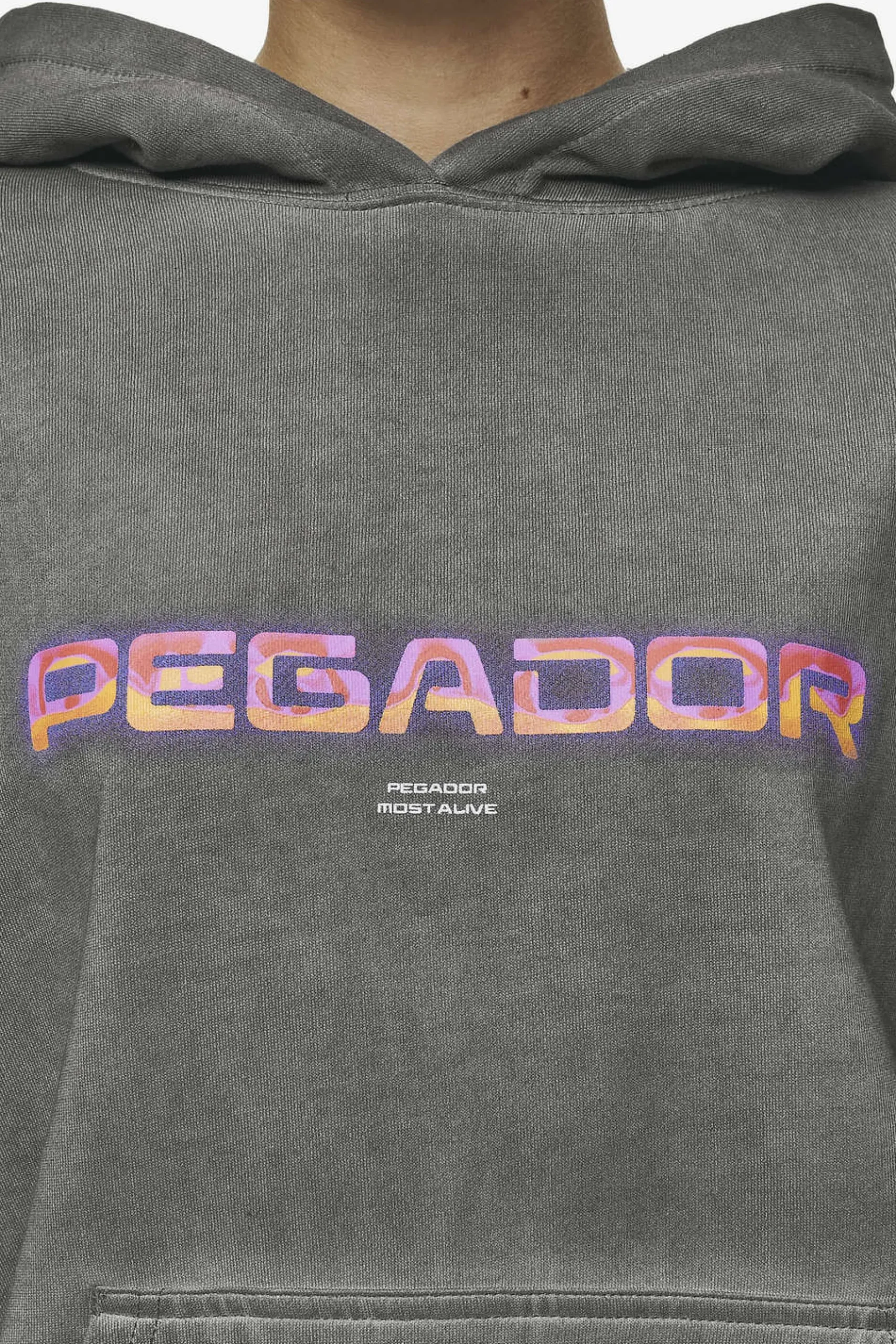 Pegador Hoodies|Lui Sprayed Oversized Hoodie Oil Dyed Deep Grey