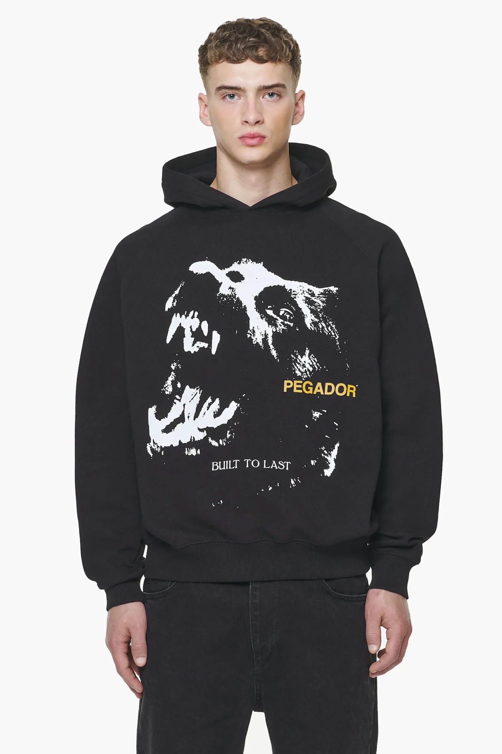 Pegador Hoodies|Nether Raglan Hoodie Vintage Washed Onyx Black