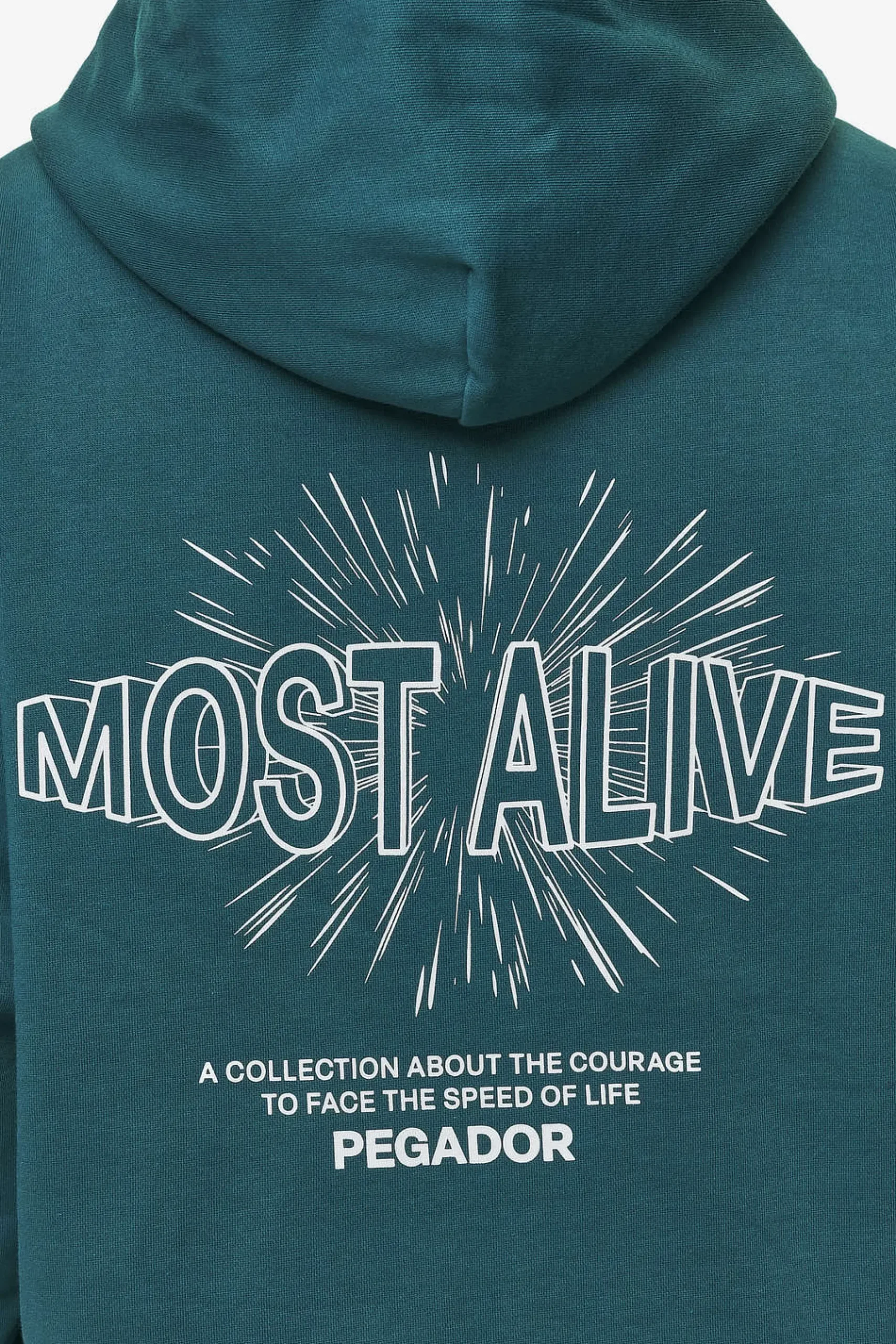 Pegador Hoodies|Nisa Oversized Hoodie Washed Urban Turquoise