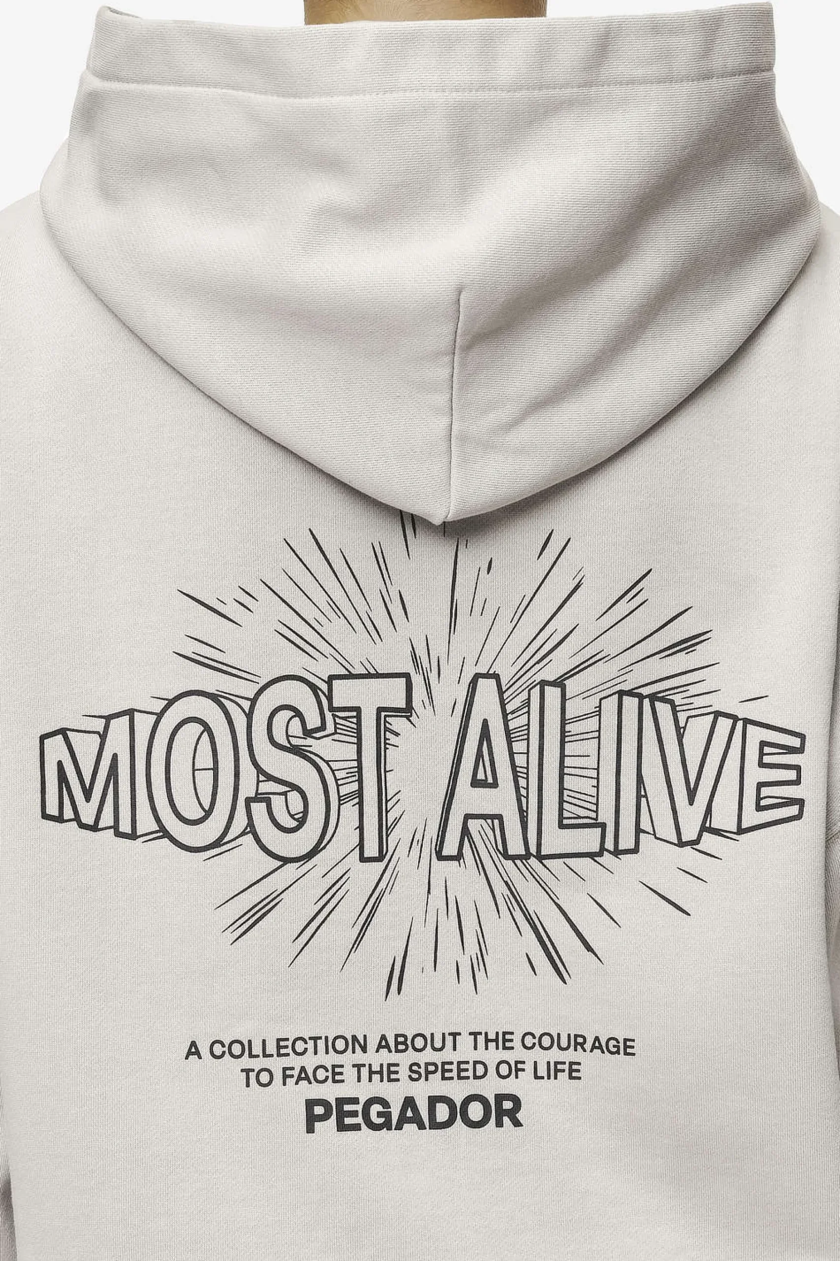 Pegador Hoodies|Nisa Oversized Hoodie Washed Moon Grey