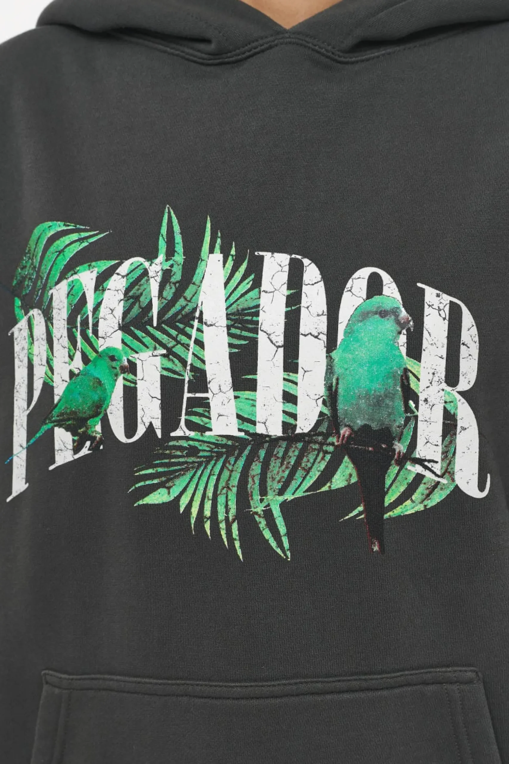 Pegador Hoodies|Palm Oversized Hoodie Vintage Washed Iron Grey
