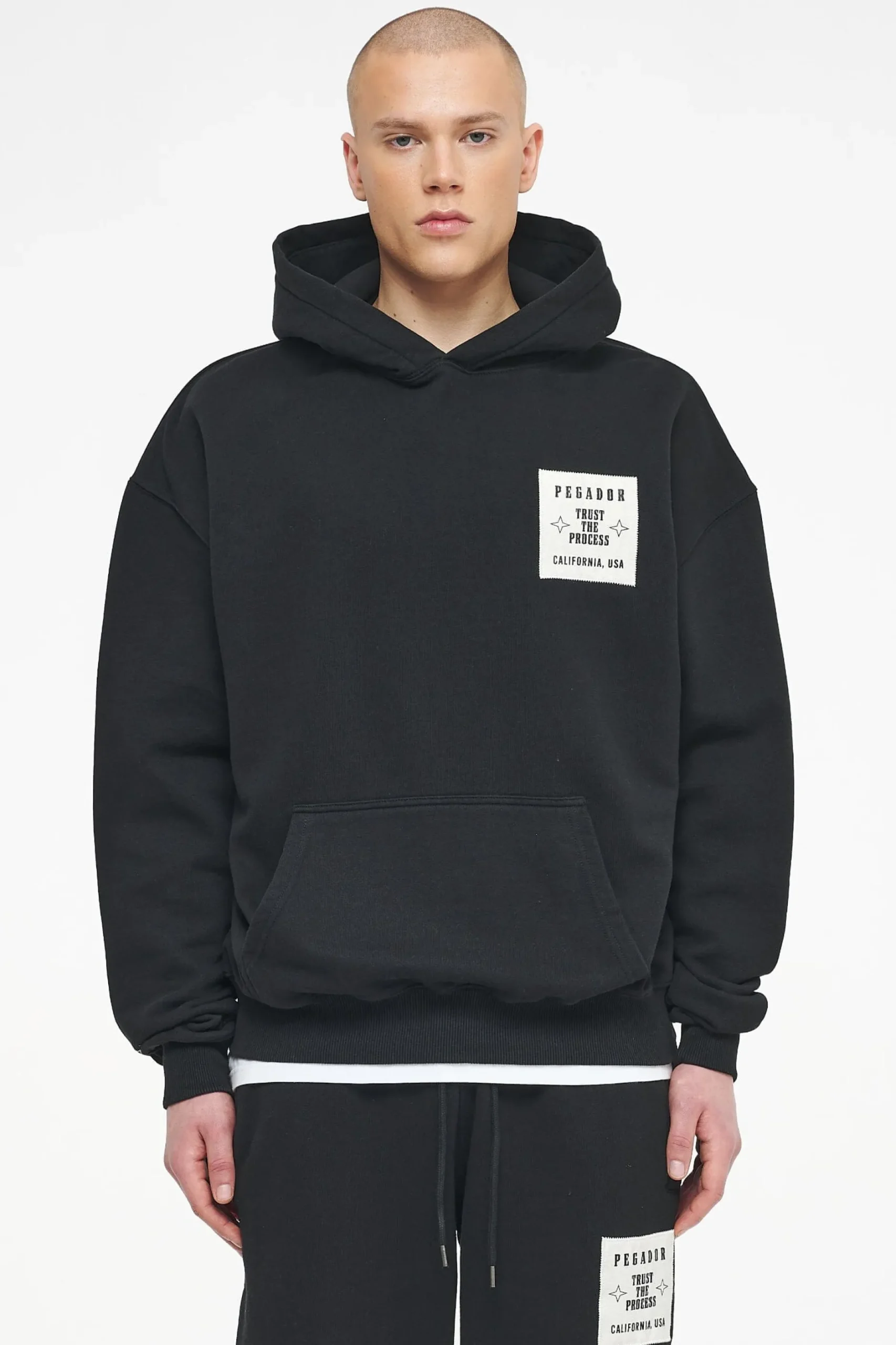 Pegador Hoodies|Salal Oversized Hoodie Vintage Washed Black Ink