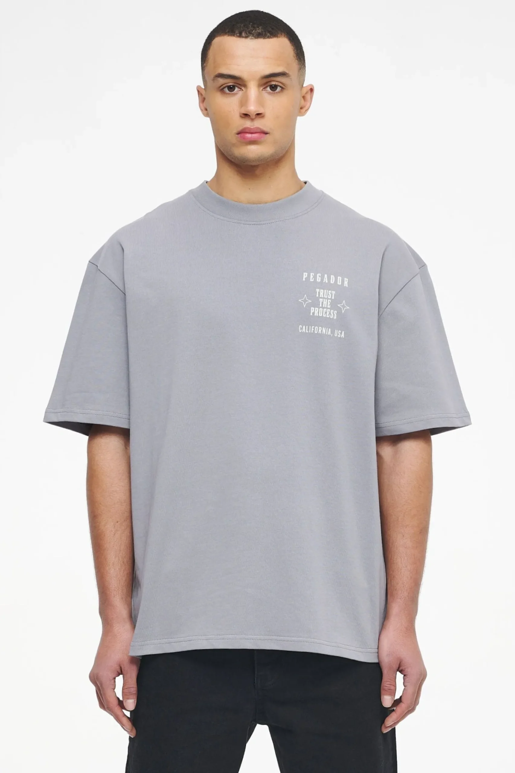 Pegador Tees|Salal Oversized Tee Vintage Washed Dusk Grey