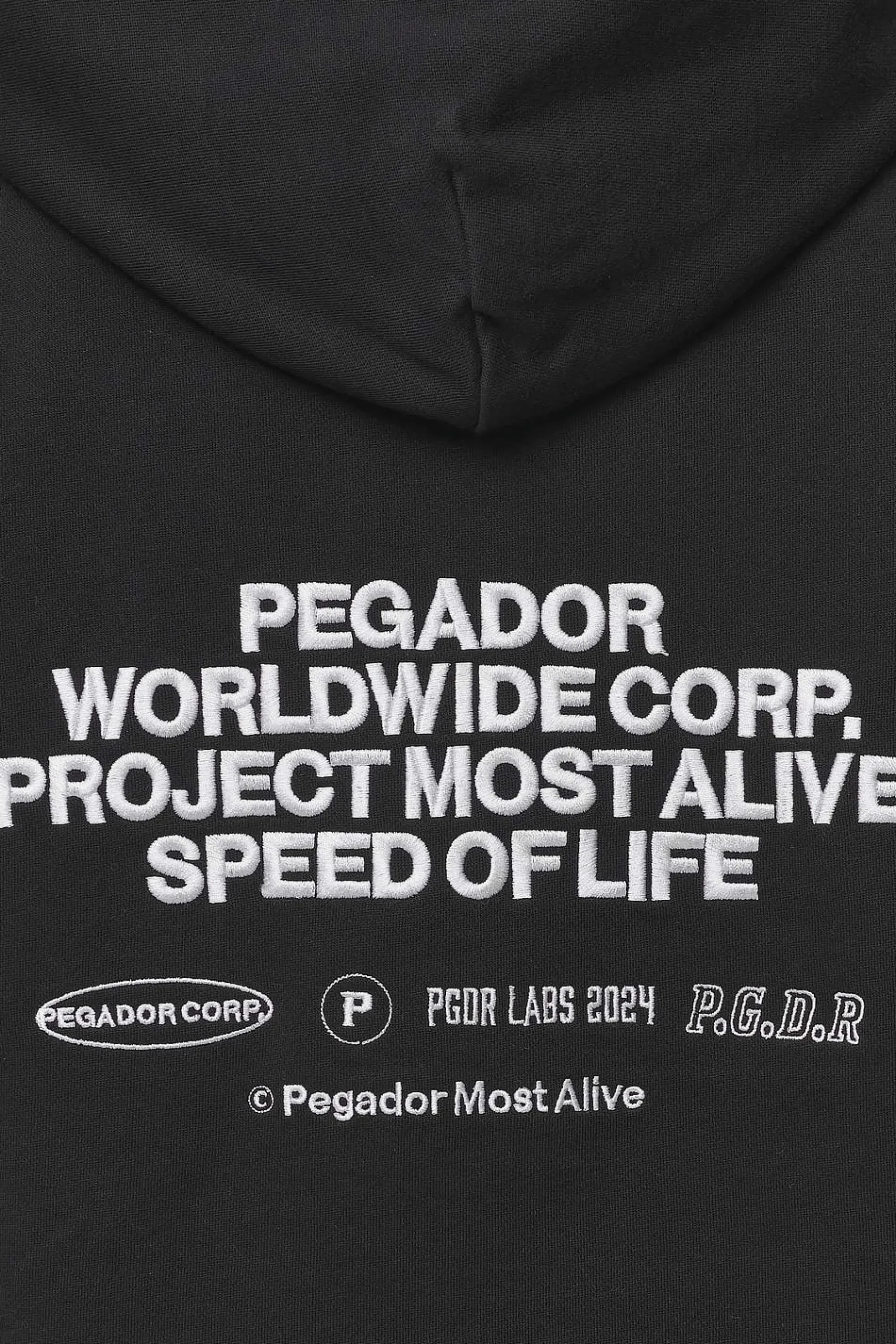 Pegador Hoodies|Sora Oversized Hoodie Washed Black