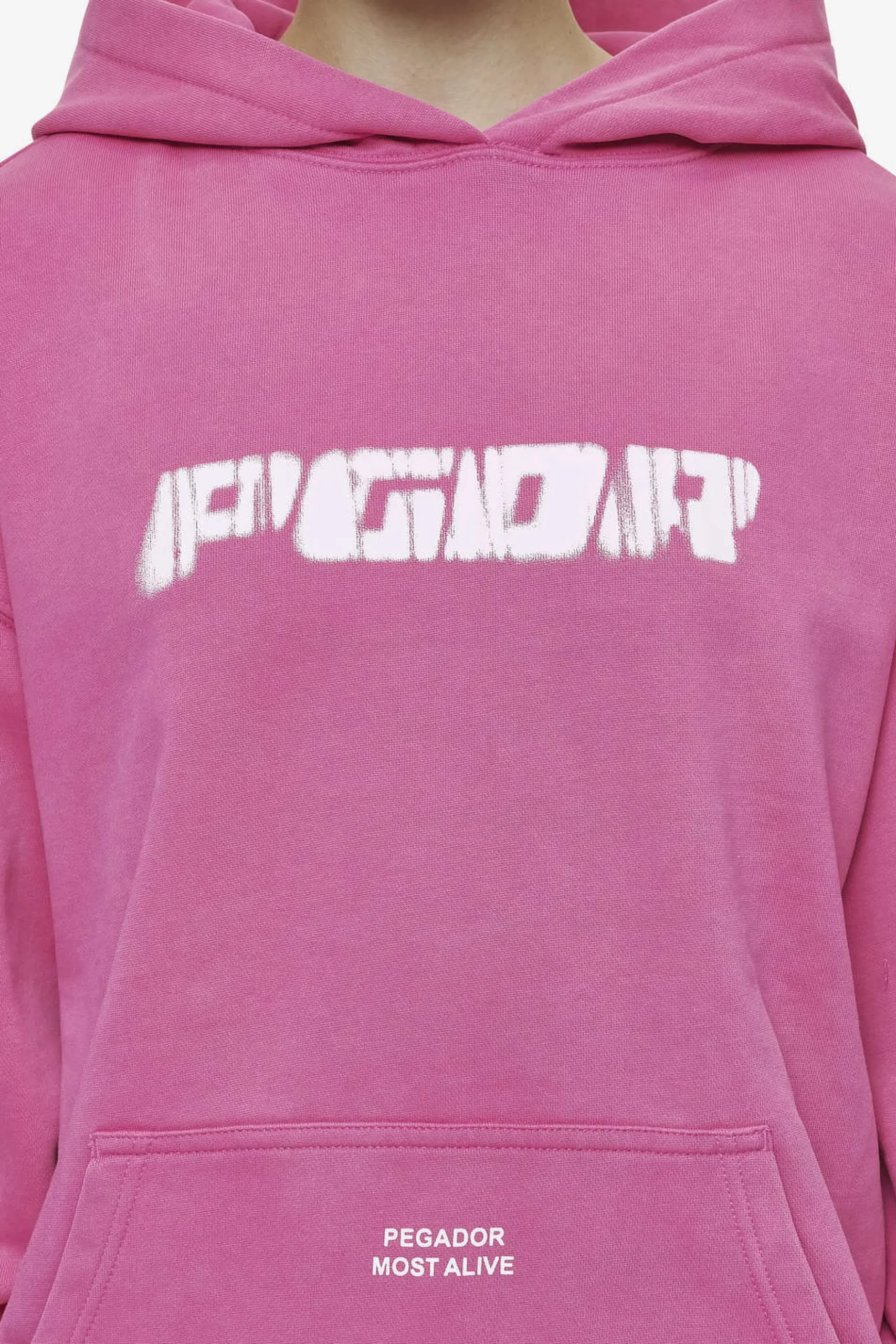 Pegador Hoodies|Suta Oversized Hoodie Vintage Digital Pink